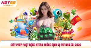 Giấy Phép Hoạt Động NET88