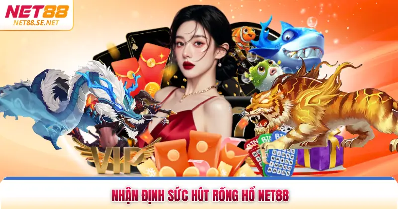 Nhận định sức hút rồng hổ NET88